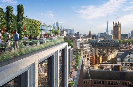 105 Victoria Street - Urban farm